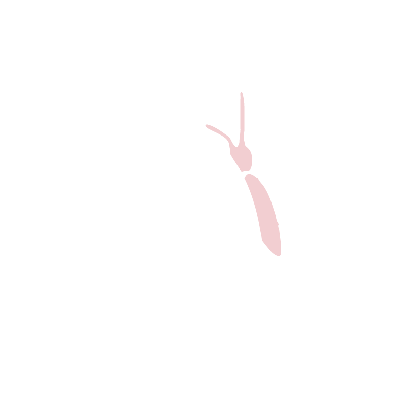 Logo Halte au Cancer blanc