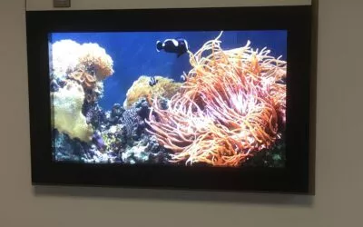 Installation d’un aquarium virtuel en service de radiothérapie à Morvan