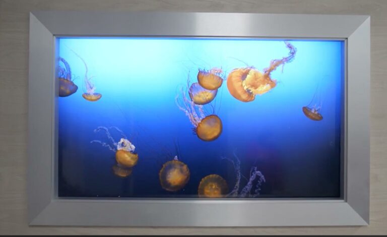halte au cancer Aquarium virtuel pasteur